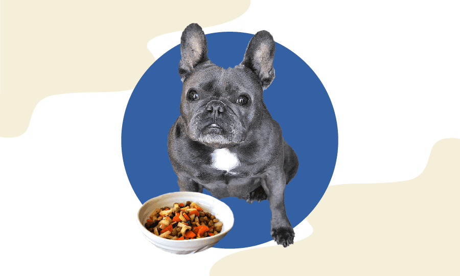 cooking wild earth dog food