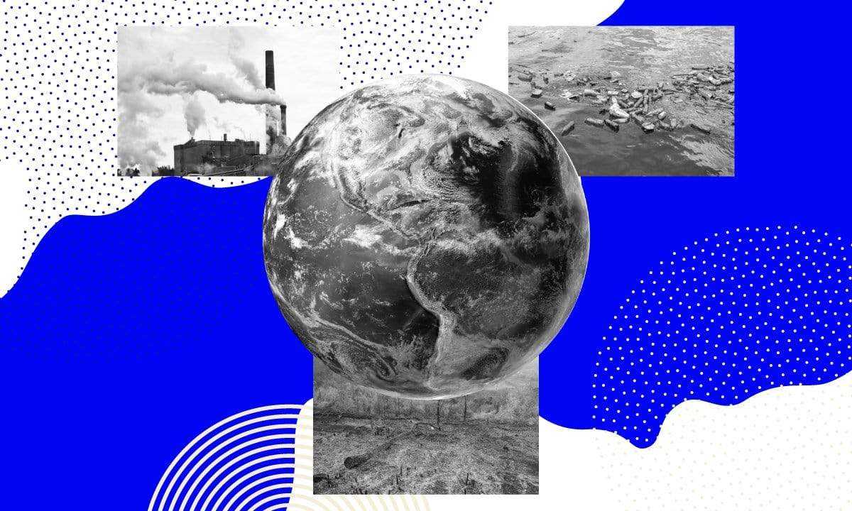 dog foods impact on the planet