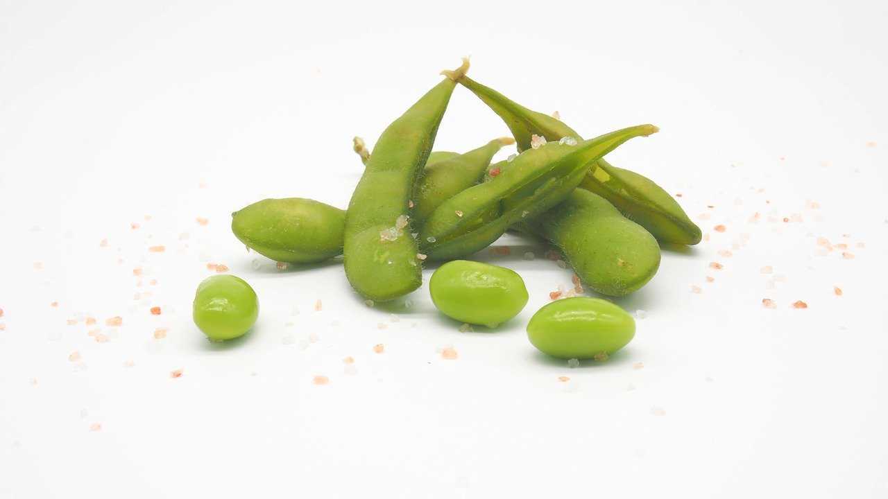 edamame for dogs
