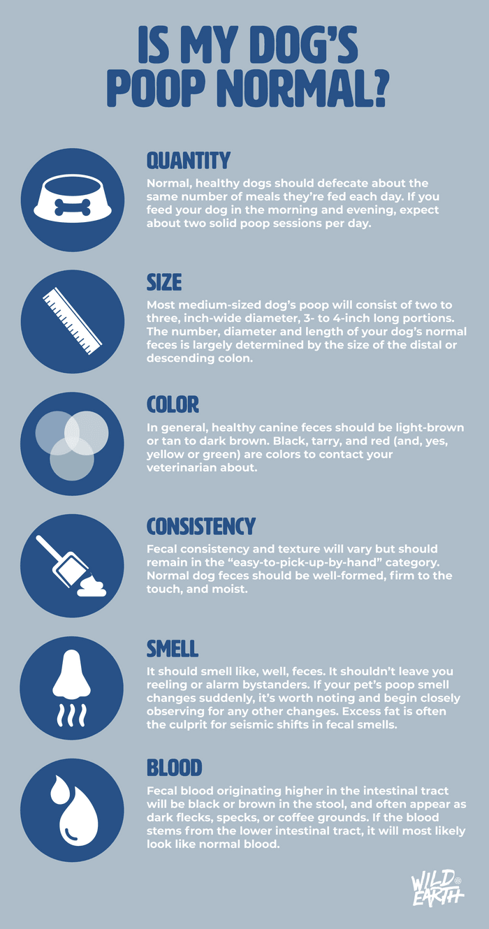 Dog Poop Chart