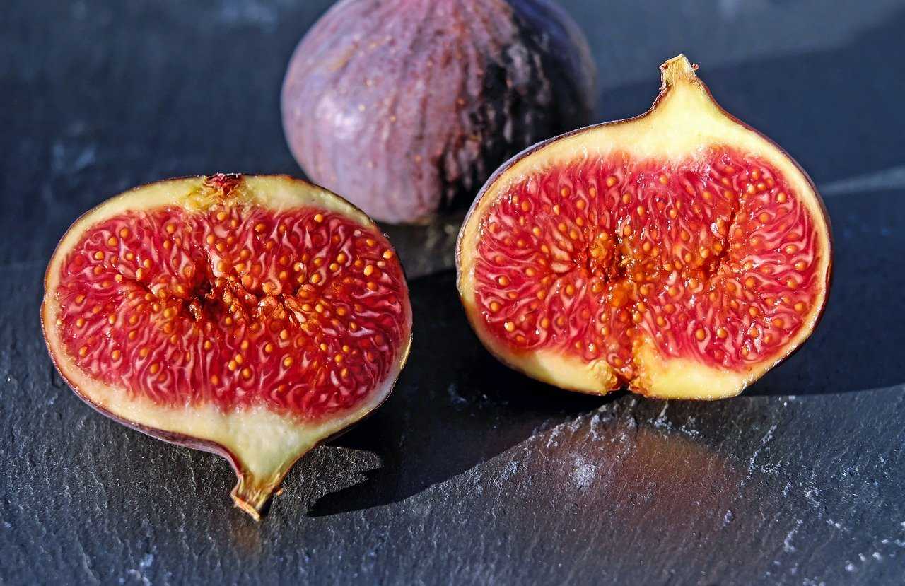 are figs safe for dogs