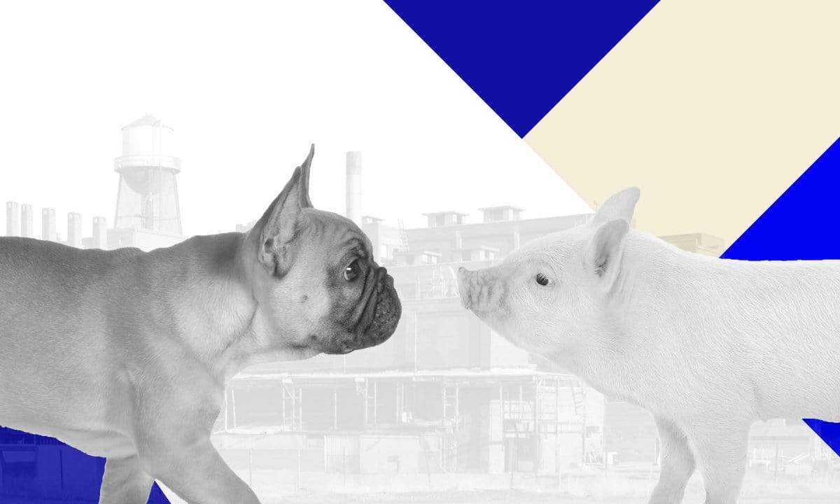 factory farming in dog food