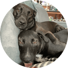 Portrait of testimonial author Dana J..