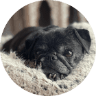 Portrait of testimonial author Jyllian S..