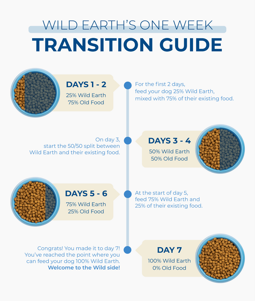 Wild Earth Dog Food Transition Guide
