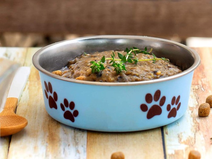 good boy gravy on Wild Earth