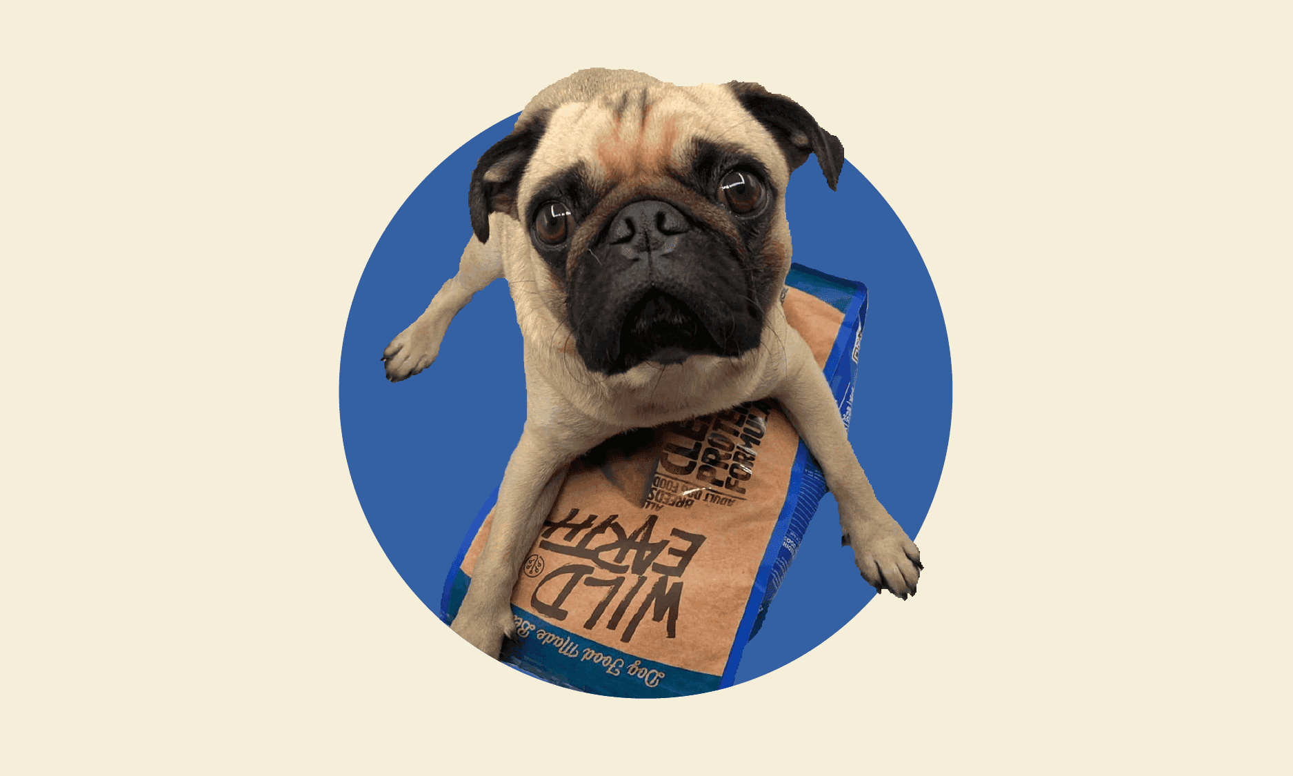 can you help my picky dog?