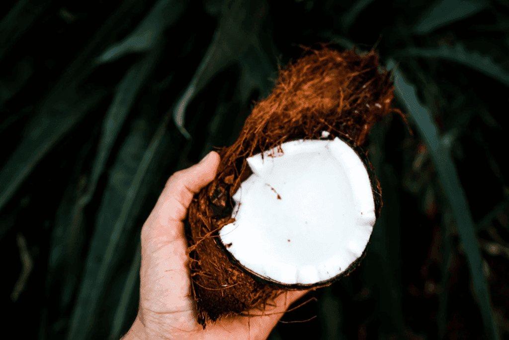 hand holding an open coconut
