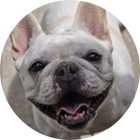 Portrait of testimonial author Kelly S..