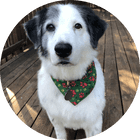 Portrait of testimonial author Linda K..