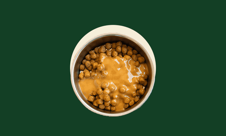 dog peanut sauce recipe