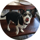 Portrait of testimonial author Kerrianne A..