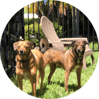 Portrait of testimonial author Margaret B..