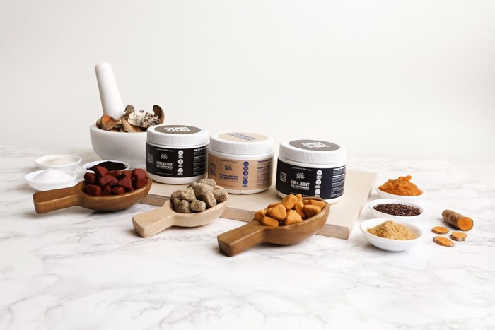 healthy dog supplements