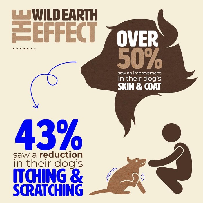 Wild Earth Dog Food Impact On Skin And Allergies