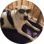 Portrait of testimonial author Katie O..