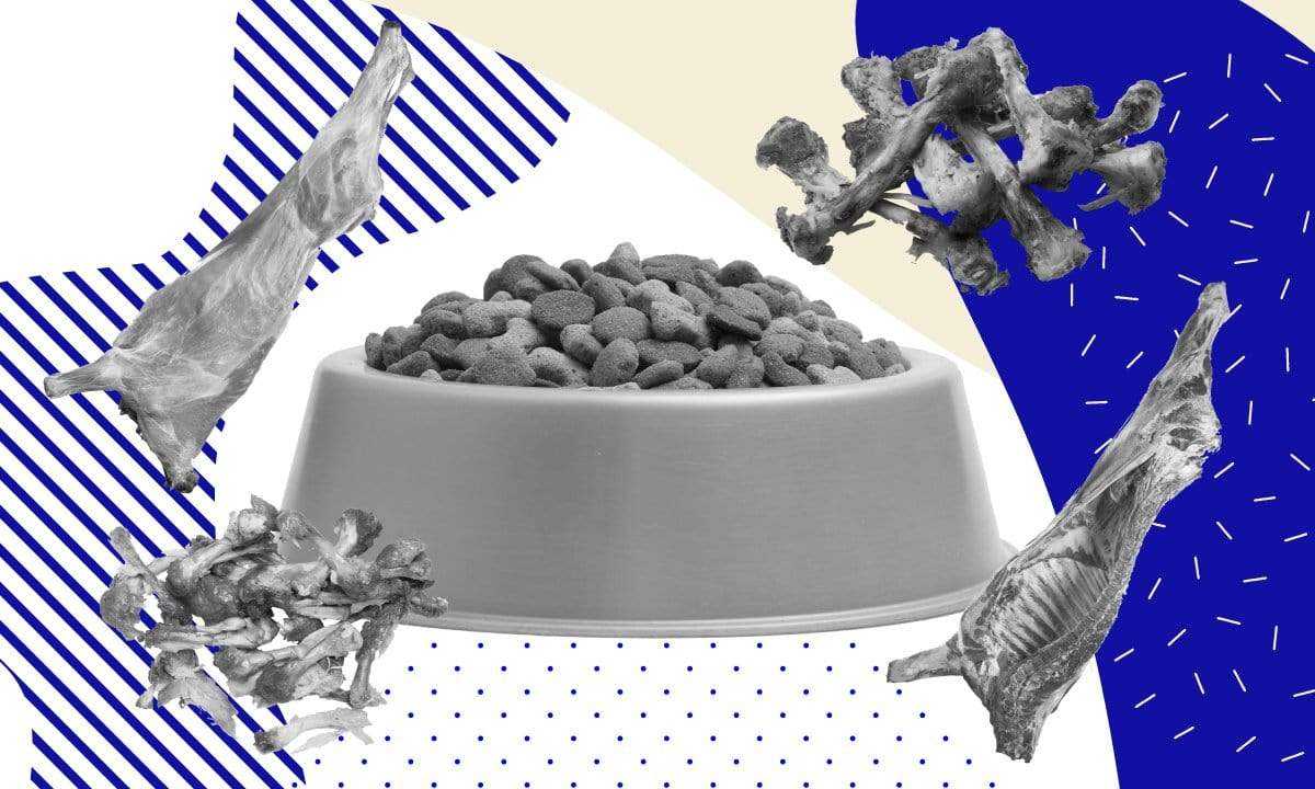what meat is in dog food