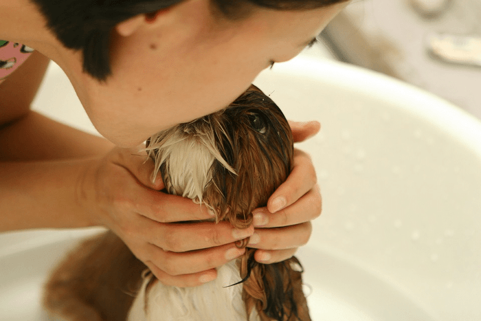 Woman kissing her bathing dog's face
